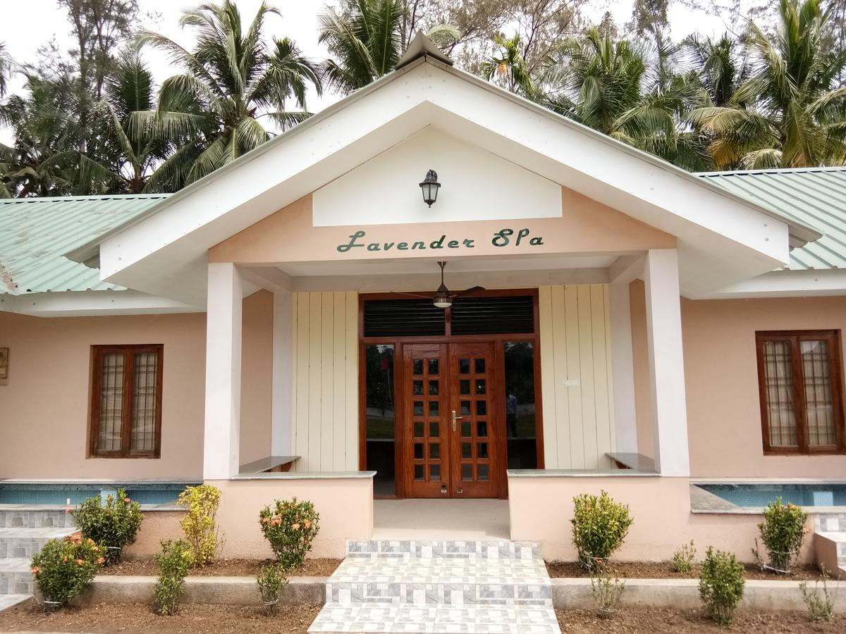 Lush Green Retreat Wandoor Exterior foto