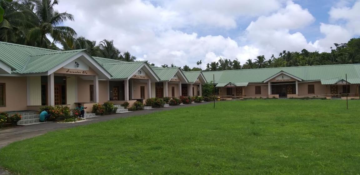 Lush Green Retreat Wandoor Exterior foto